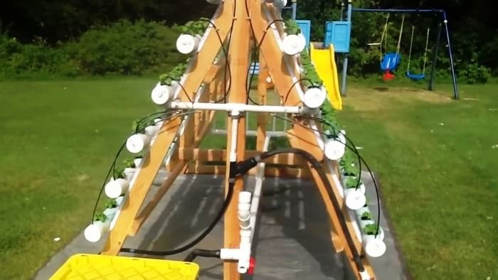 Mira y aprende cómo construir un sistema hidropónico vertical