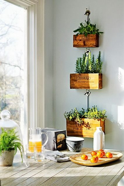 Como decorar el interior del hogar con plantas