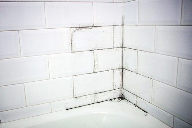 How to get rid of mold in the shower