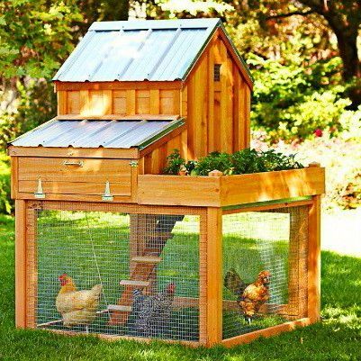 Portable wooden chicken coops for your backyard