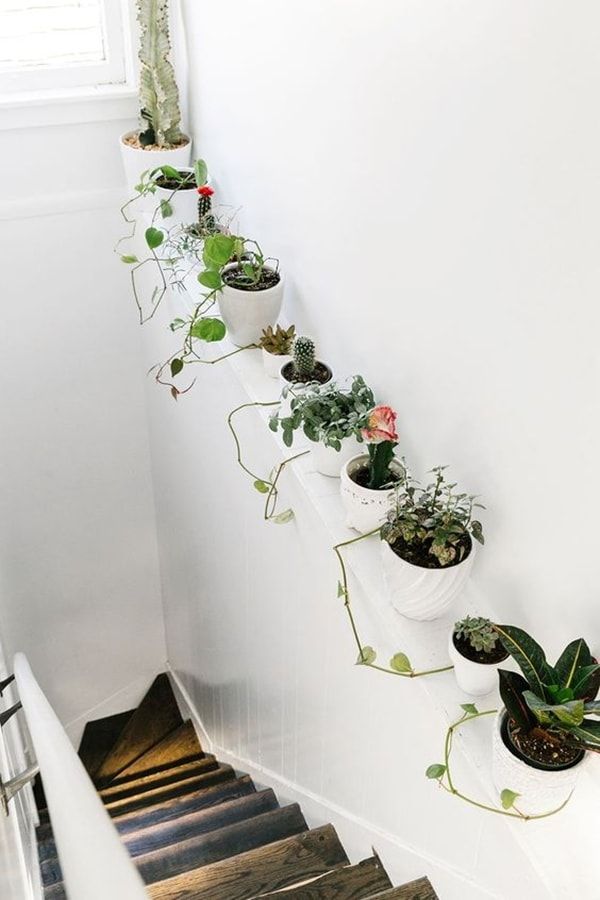 Original ideas to decorate the interior of your home with plants