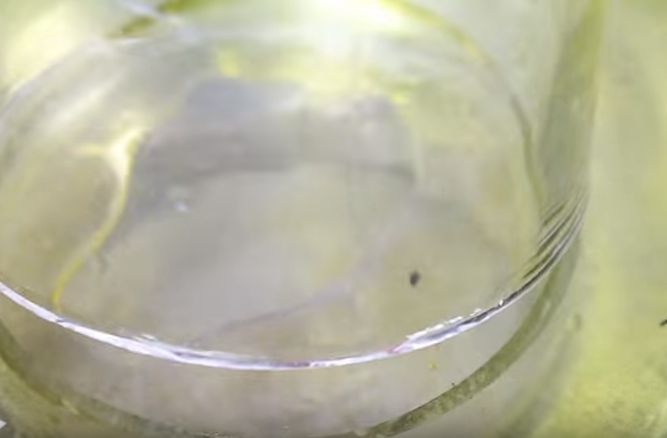 How to Cut Glass Bottles