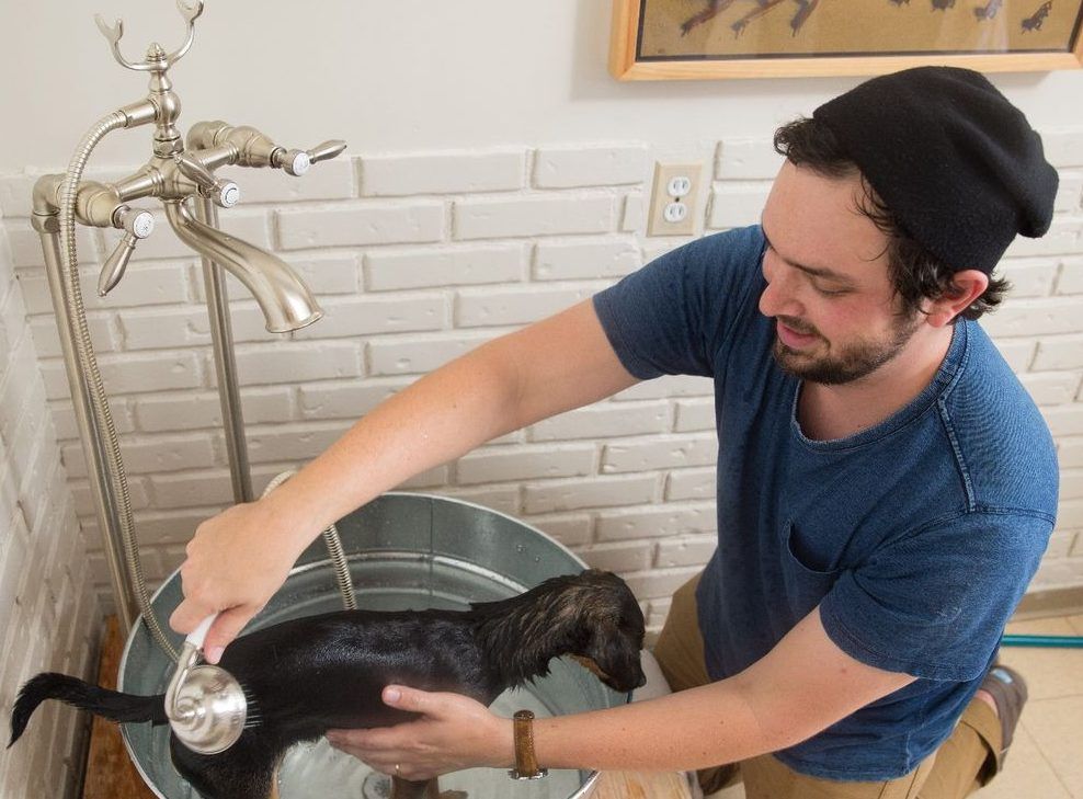 Crea una Estación de Baño para tu Mascota