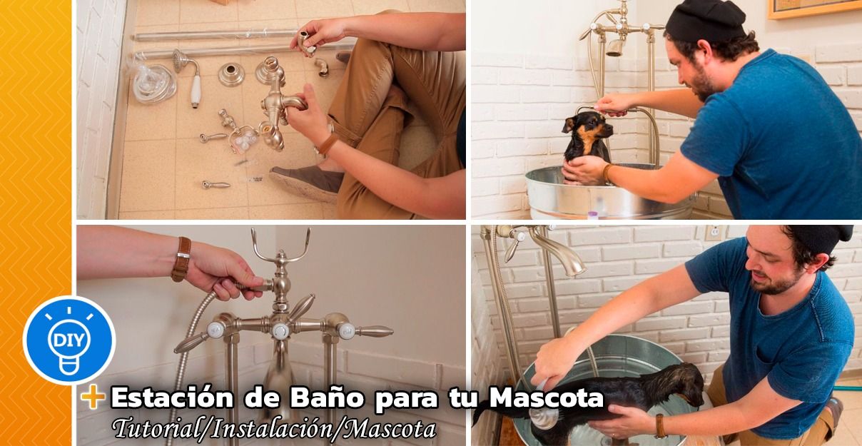 Crea una Estación de Baño para tu Mascota
