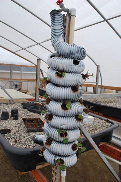Sistema de cultivo hecho con bidones de plástico