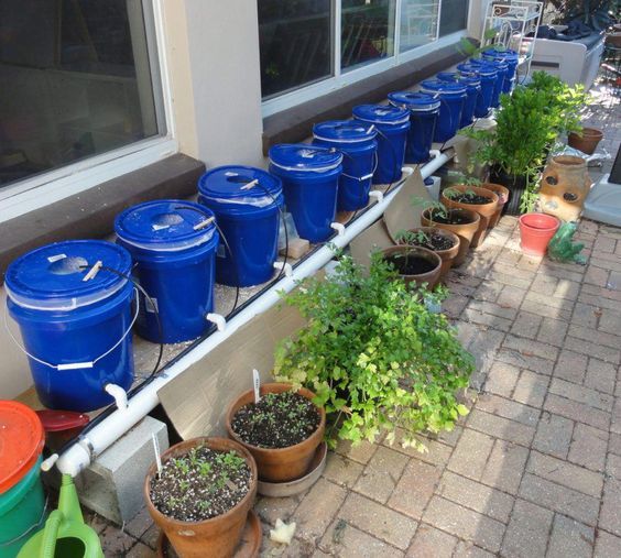 Sistema de cultivo hecho con bidones de plástico