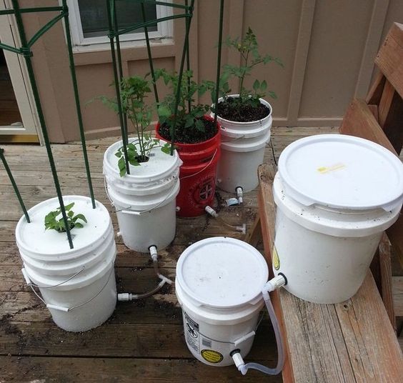 Sistema de cultivo hecho con bidones de plástico