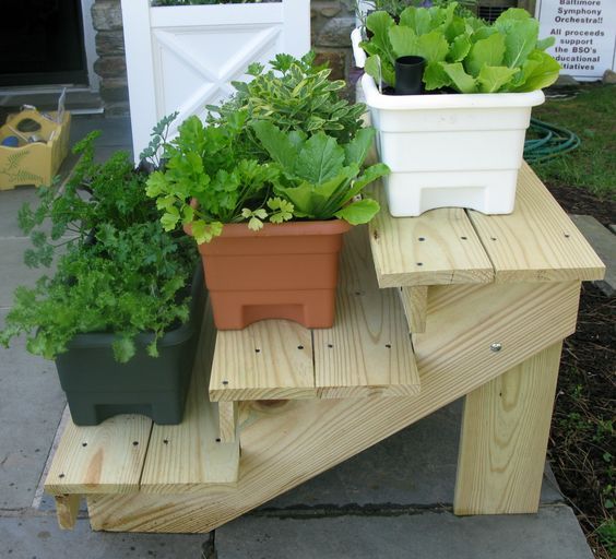 Soportes de madera para tus plantas