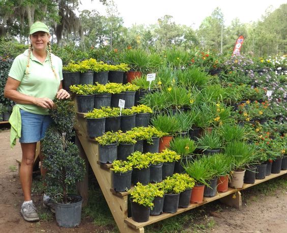 Soportes de madera para tus plantas