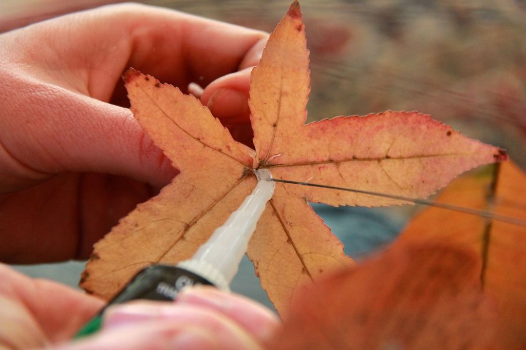 How to Make a Leaf LampAutumn