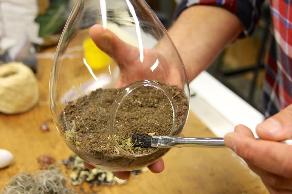 How to Make a Floating Terrarium