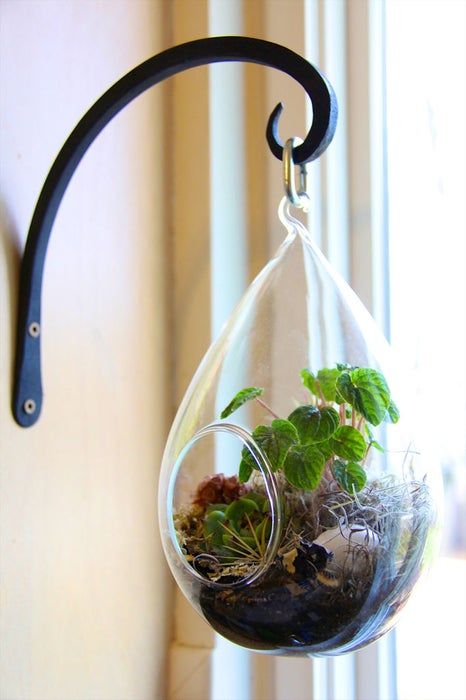 How to Make a Floating Terrarium