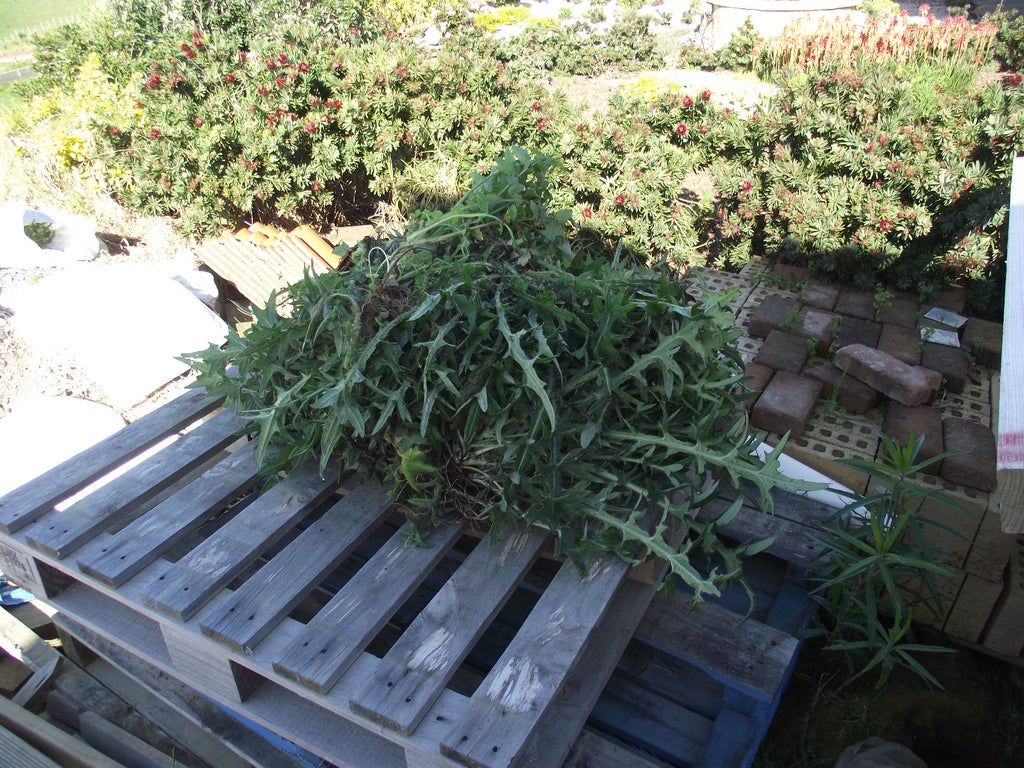 Liquid fertilizers