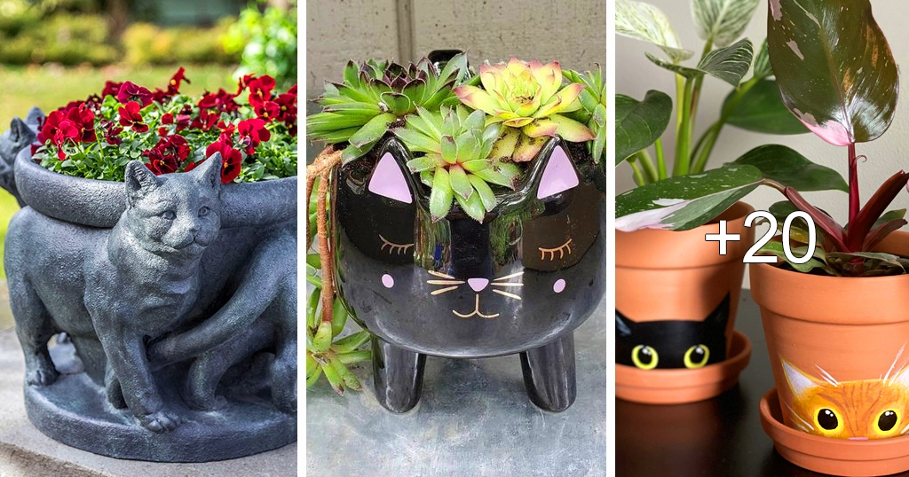 Blumentopf-Designs für Katzenliebhaber