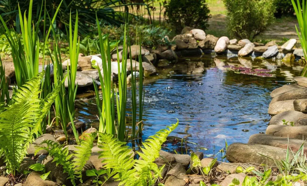 Cómo Construir un Estanque en el Jardín